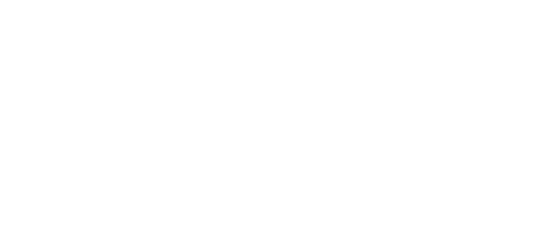 D'Light Award